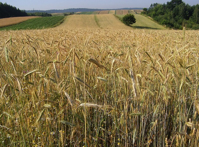 rolnictwo w województwie dolnośląskim